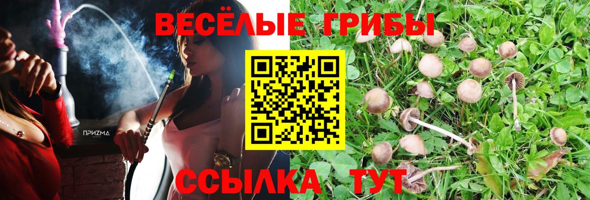 Галлюциногенные грибы Cubensis  где можно купить   Вход с VPN  Кострома  Псилоцибиновые грибы ЛСД 